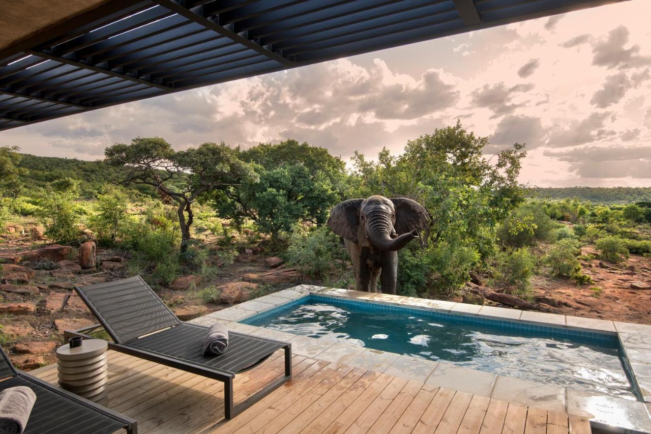 Villa 57 Waterberg Welgevonden Game Reserve Exterior foto